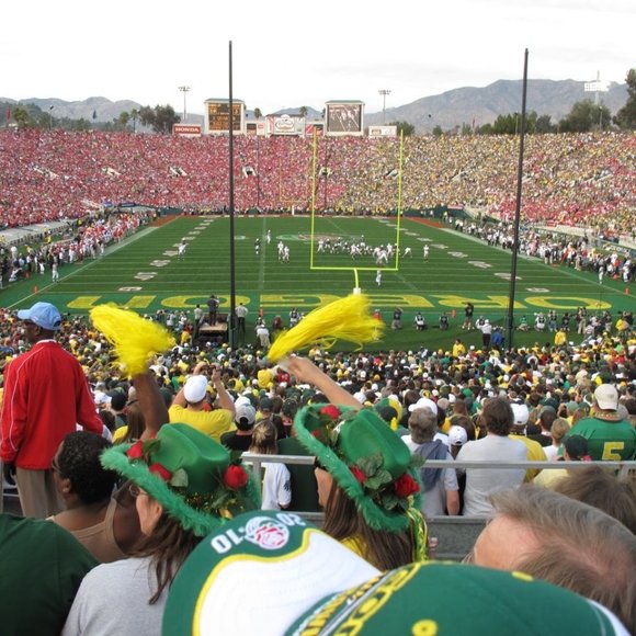 Meet your Posher, Treats - Picture 4 of 4